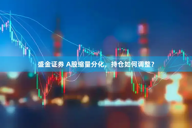 盛金证券 A股缩量分化,持仓如何调整?