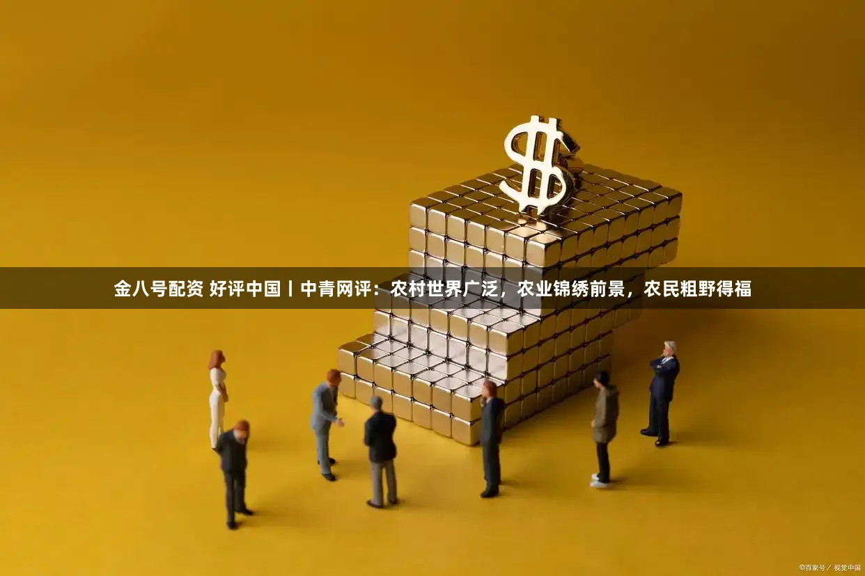 金八号配资 好评中国丨中青网评：农村世界广泛，农业锦绣前景，农民粗野得福