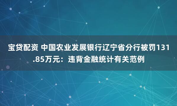 宝贷配资 中国农业发展银行辽宁省分行被罚131.85万元：违背金融统计有关范例