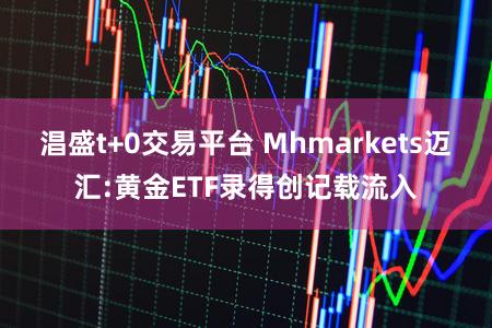 淐盛t+0交易平台 Mhmarkets迈汇:黄金ETF录得创记载流入