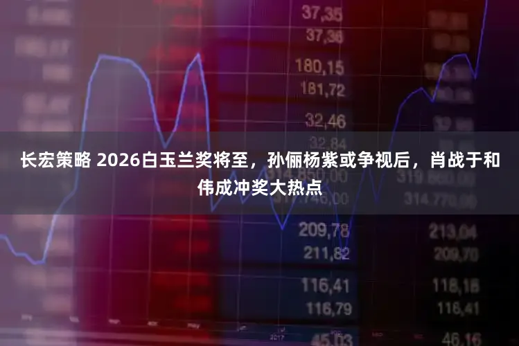 长宏策略 2026白玉兰奖将至,孙俪杨紫或争视后,肖战于和伟成冲奖大热点