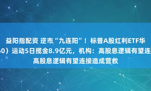 益阳指配资 逆市“九连阳”！标普A股红利ETF华宝（562060）运动5日揽金8.9亿元，机构：高股息逻辑有望连接造成营救