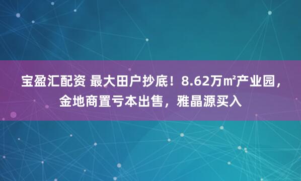 宝盈汇配资 最大田户抄底！8.62万㎡产业园，金地商置亏本出售，雅晶源买入