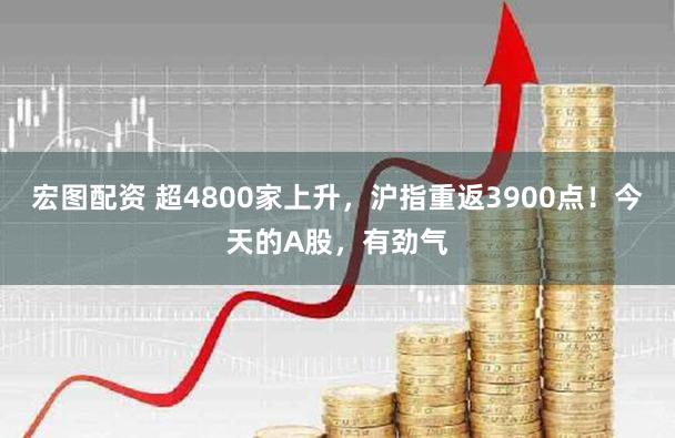 宏图配资 超4800家上升，沪指重返3900点！今天的A股，有劲气