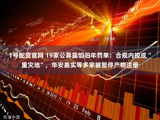 1号配资官网 19家公募露馅旧年罚单:合规内控成“重灾地”,华安嘉实等多家被暂停产物注册