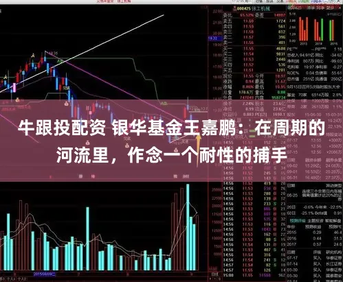 牛跟投配资 银华基金王嘉鹏：在周期的河流里，作念一个耐性的捕手