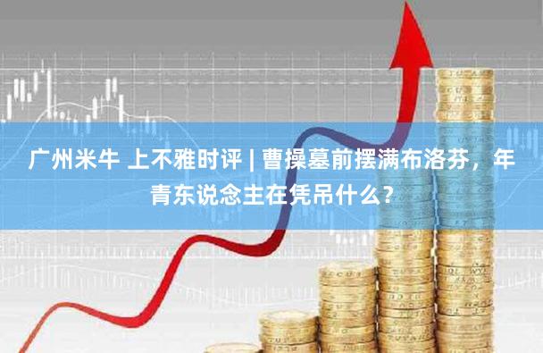 广州米牛 上不雅时评 | 曹操墓前摆满布洛芬,年青东说念主在凭吊什么?