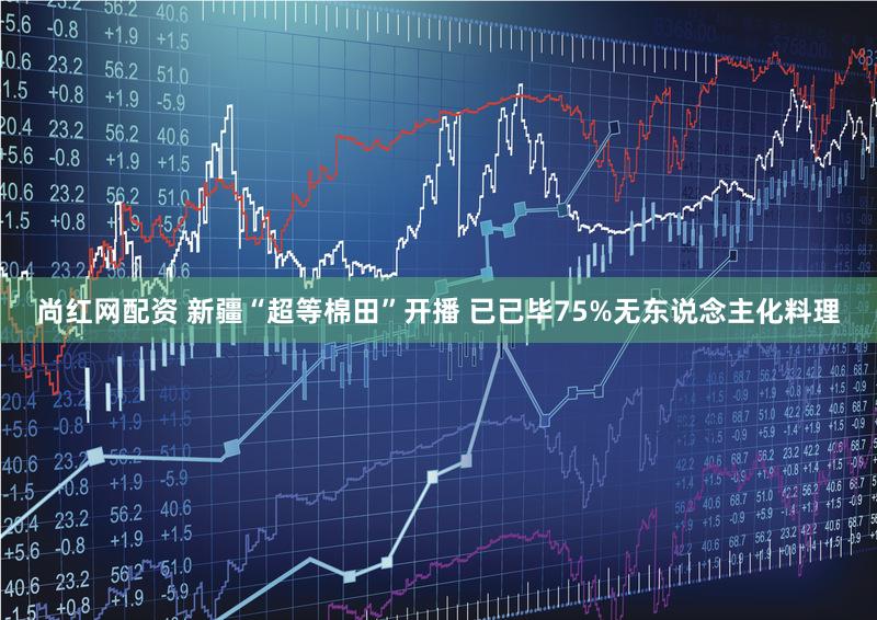 尚红网配资 新疆“超等棉田”开播 已已毕75%无东说念主化料理