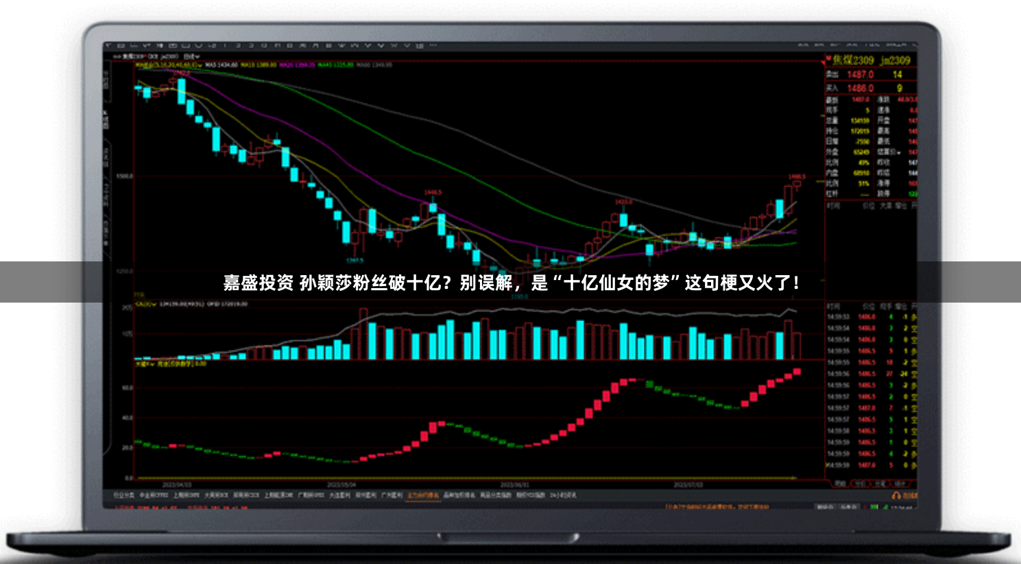 嘉盛投资 孙颖莎粉丝破十亿？别误解，是“十亿仙女的梦”这句梗又火了！