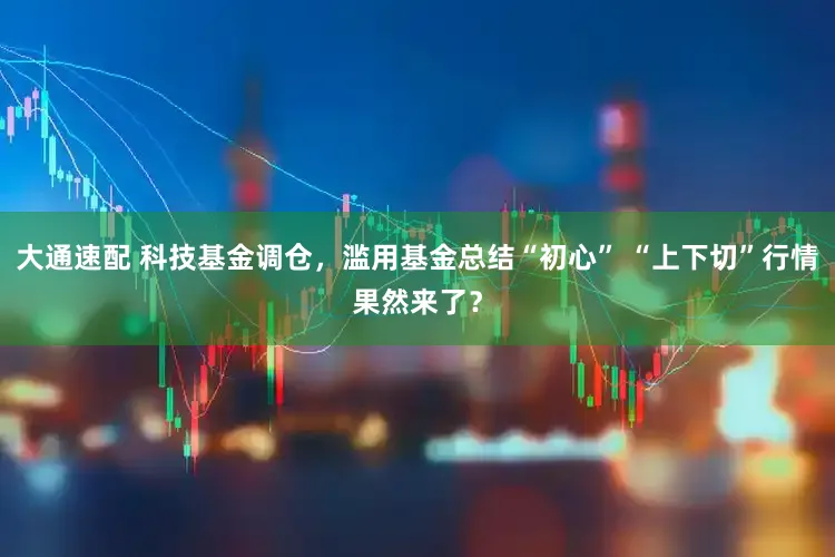 大通速配 科技基金调仓，滥用基金总结“初心” “上下切”行情果然来了？